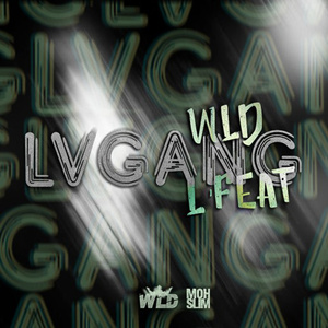 Lvgang