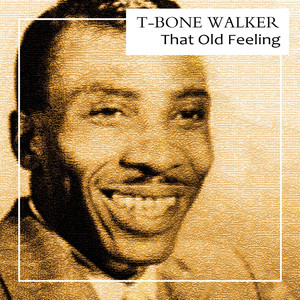 Too Much Trouble Blues