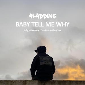 Baby Tell Me Why (you don't need my love)