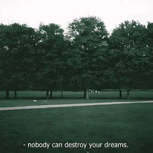Nobody Can Destroy Your Dreams