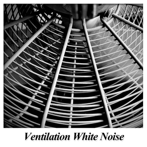 Fan Oscillations with White Noise