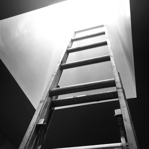 Contemplative Dreams