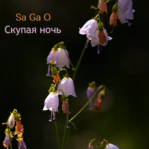 Скупая ночь