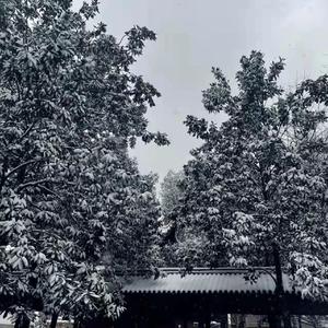 不再去想(demo）