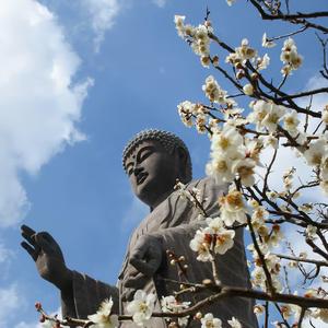 Hasenka/AlanWalker-Alone(LostStoriesRemix)