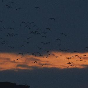 【昆曲改编】长命女·春日宴