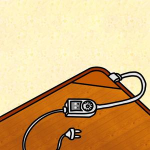 할머니의 전기장판