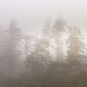 Amanecer en La Arenosa Playa