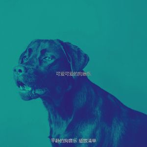 一尘不染可爱的狗印象数