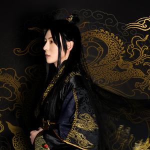 若尔锋芒——邪王专宠主题曲