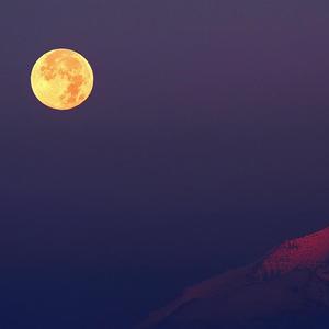 【钢琴】杯中明月 Moon in One's Cup