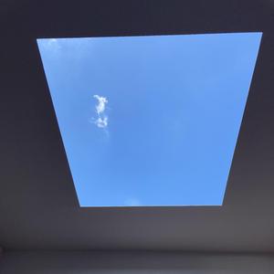 faccenda nera (faccenda nera)