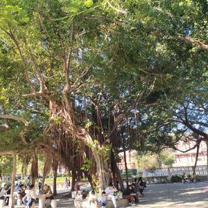 没有人比我更爱你