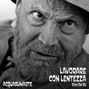 Lavorare con lentezza (Enzo Del Re)