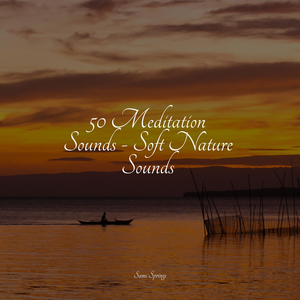 Seagulls on the Beach (Relaxing Ocean Waves)