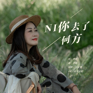 你去了何方 (DJ版)