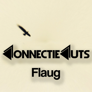 Flaug (Radio Edit)