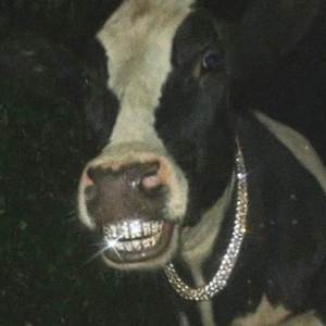 LAVOACLAVAR