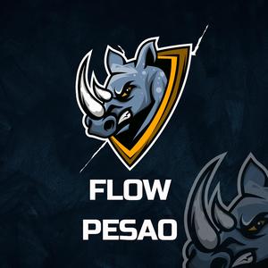 flow pesao