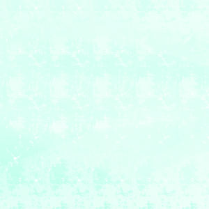 超级马里奥无敌【plus】：無敵マリオ