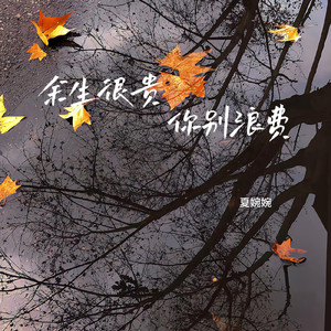 余生很贵 你别浪费