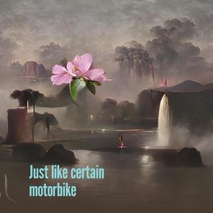 I Was a Fool for You