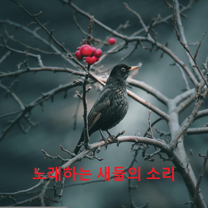 울창한 숲에서 여름에 노래하는 새들의 소리