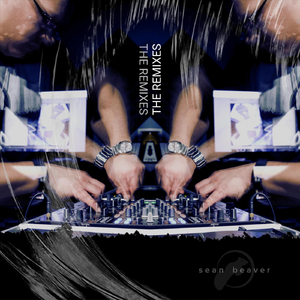 Foundations (Sean Beaver Remix)