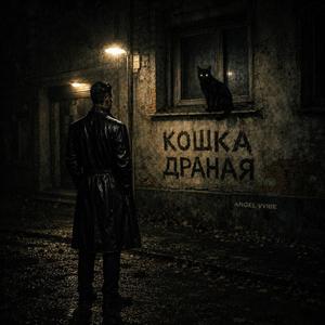 Кошка драная