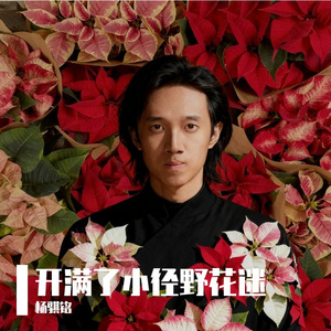 开满了小径野花迷