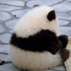 多情种_小佐zi_1