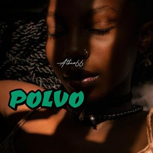 Polvo