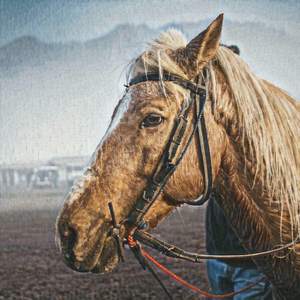 Weird Version Of The First One