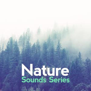 Water Under the Bridge