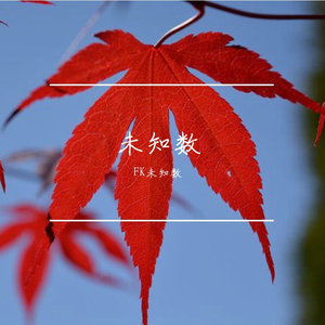 你从未离去（Cover）