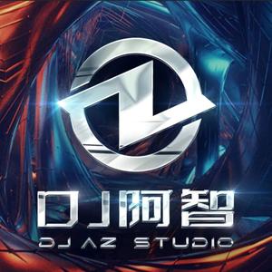 半壶纱 DJ阿智(0.8x)