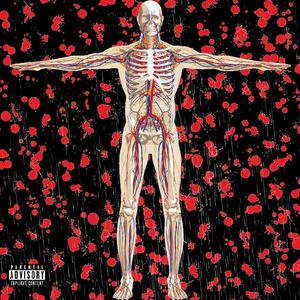 SUICIDE（Prod.By 金桔0RANG3）