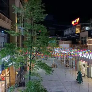 把悲伤留给自己（抖音版）