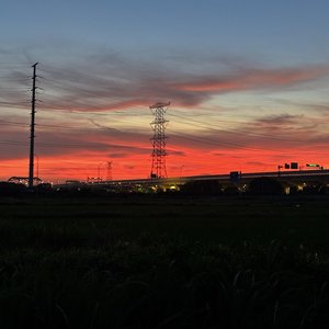 迎光飞翔