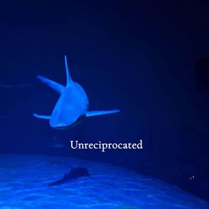 Unreciprocated (feat. cedy)