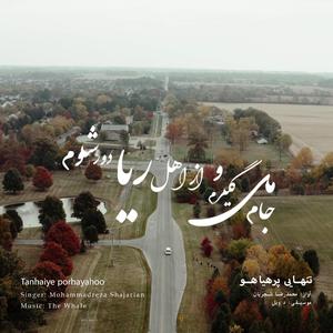 Tanhaiye por hayahoo (Rework of M.R Shajarian)