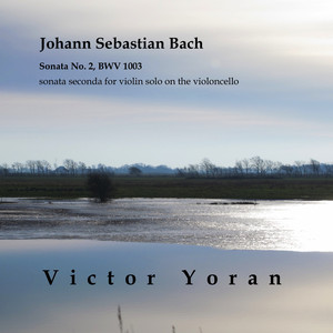 Violin Sonata No. 2 in A Minor: I. Grave