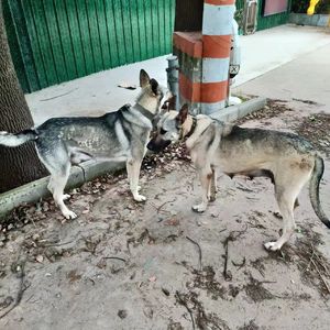 硫酸 prod by Keerad