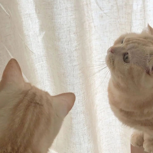 不要忘记我爱你