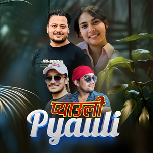 Pyauli