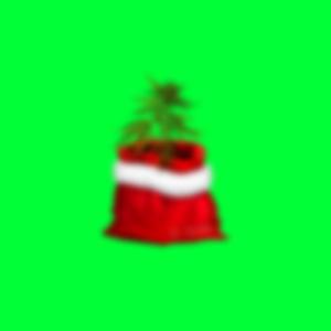 Una Navidad sin Weed