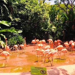 【FREE】SWEET HEART