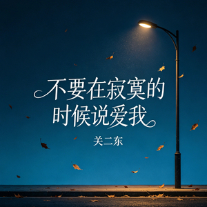 不要在寂寞的时候说爱我