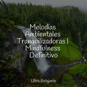 Tiempo De Tranquilidad