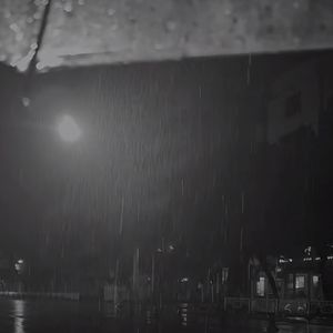 下雨了，跑与不跑衣服都是要湿的，还不如慢慢走，结局已定，过程无意